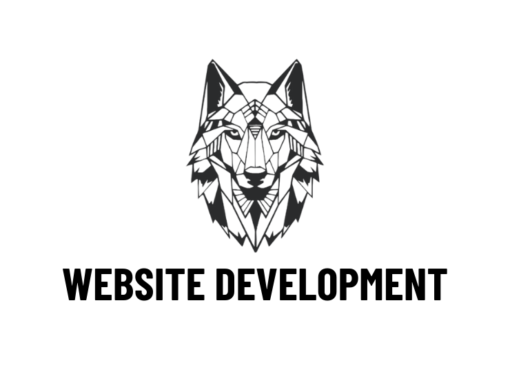Website development projects